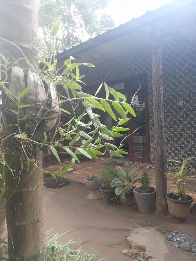 Supipi Homestay Елла Екстер'єр фото