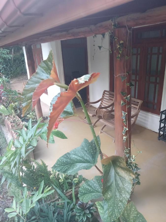 Supipi Homestay Елла Екстер'єр фото
