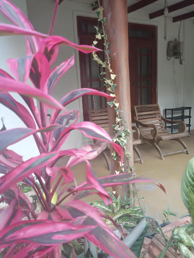 Supipi Homestay Елла Екстер'єр фото